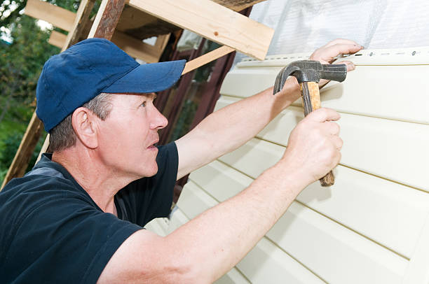 Best Historical Building Siding Restoration  in Tolleson, AZ